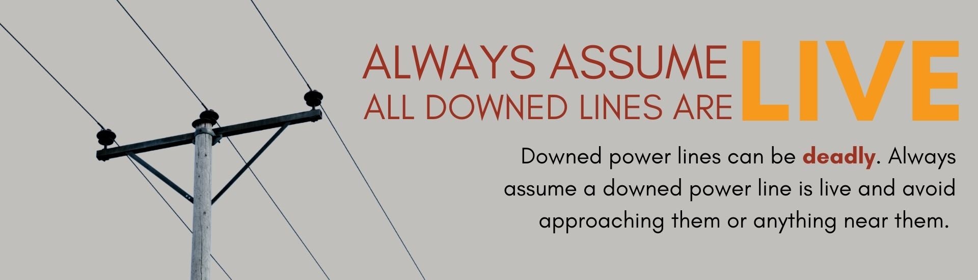 Downed Lines Safety